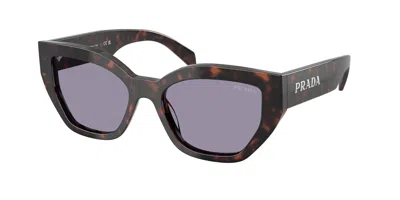Prada Grey Cat Eye Ladies Sunglasses Pr A09s 17n03n 53 In Black