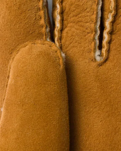 Prada Guanti In Brown
