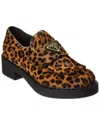 Prada Chocolate Printed Haircalf Loafer In Brown