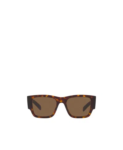 Prada Hawksbill Turtle Logo Sunglasses In Brown