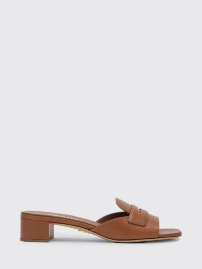 Prada Heeled Sandal Woman In Brown