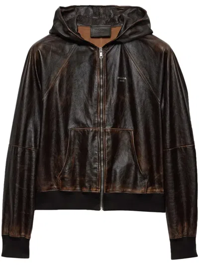 Prada Hooded Leather Jacket In Brown