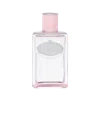 Prada Infusion De Rose Edp 100 ml In Fragrances