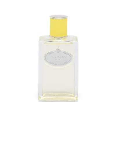 Prada Infusion D'ylang Edp 100ml In Fragrances