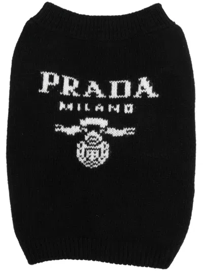 Prada Hundepullover Mit Intarsien-logo In Schwarz