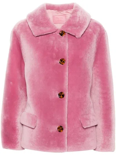 Prada Single-breasted Shearling Jacket In Multicolor