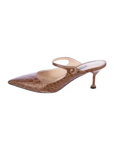 Pre-owned Prada Leather Animal Print Mules In Brown