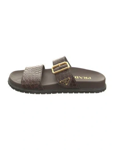Pre-owned Prada Leather Animal Print Slides In Brown