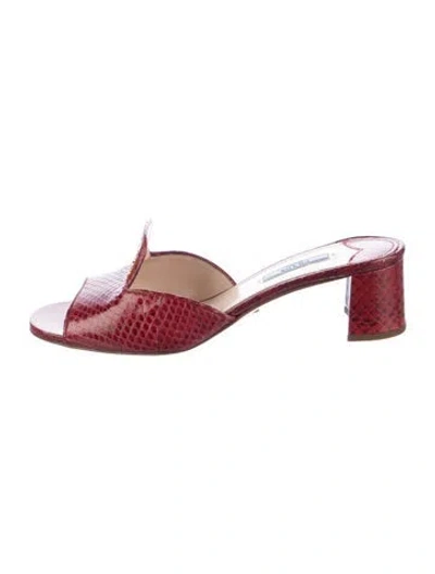 Pre-owned Prada Leather Animal Print Slides In Red