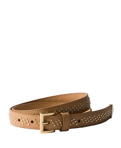 Prada Leather Belt With Studs In Brown
