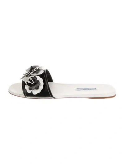 Pre-owned Prada Leather Floral Print Mules In Multi