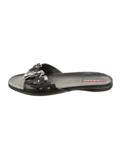 Pre-owned Prada Leather Floral Print Slides In Black