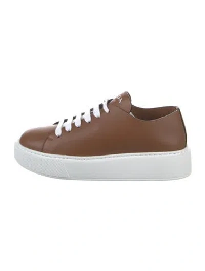 Pre-owned Prada Leather Sneakers In Brown