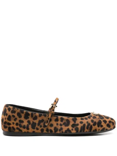 Prada Leopard-print Ballerina Shoes In Black