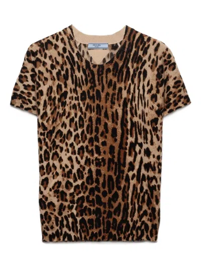 Prada Leopard-print Knitted T-shirt In Brown