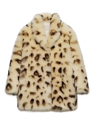 Prada Leopard-print Shearling Coat In Neutral