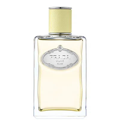 Prada Les Infusions De Gingembre Eau De Parfum 100ml In White