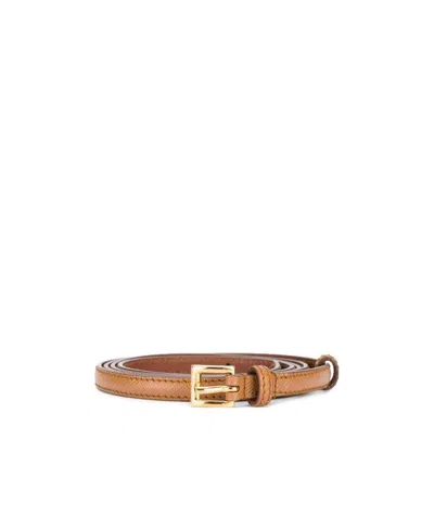 Prada Logo Dark Belt In Brown