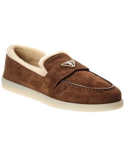 Prada Logo Suede & Shearling Loafer In Brown
