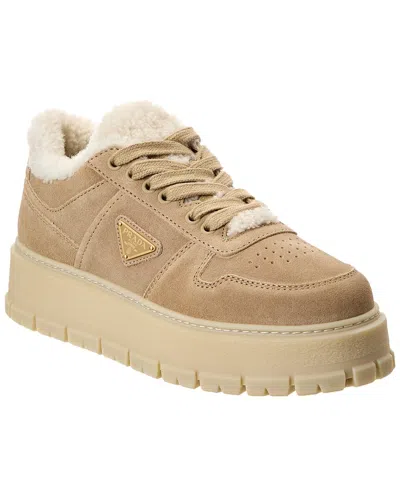 Prada Logo Suede & Shearling Platform Sneaker In Gold