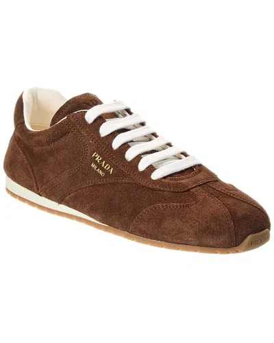 Prada Cocoa-coloured Sneakers In Suede Leather In Brown