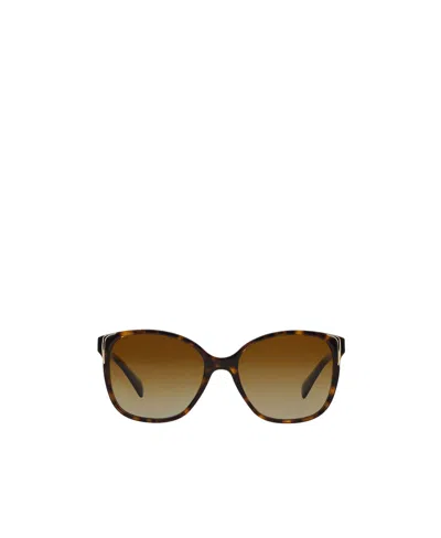 Prada Logo Sunglasses In Brown