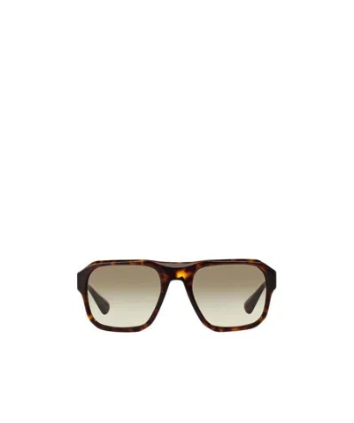 Prada Logo Sunglasses In Brown