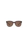 Prada Logo Sunglasses In Brown