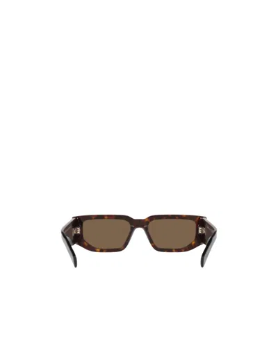 Prada Logo Sunglasses In Brown
