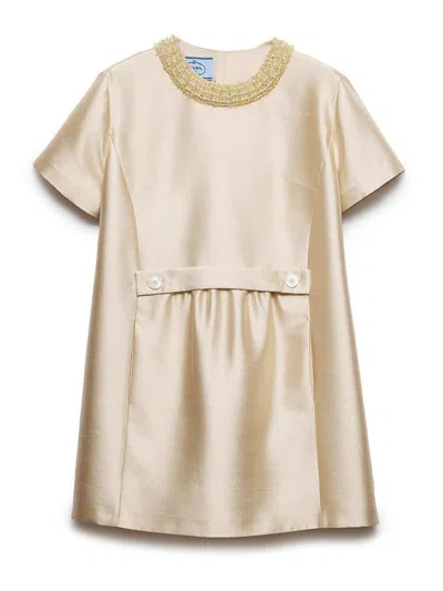 Prada Long Embroidered Sabl Dress In Neutral