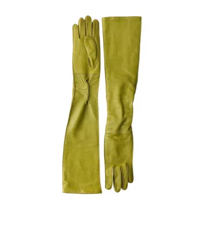 Prada Long Nappa Gloves In Ivy Green