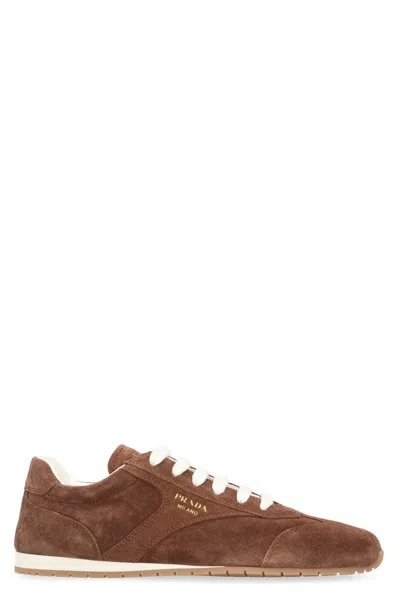 Prada Cocoa-coloured Sneakers In Suede Leather In Brown