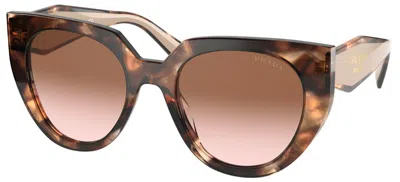 Pre-owned Prada Monochrome Pr 14ws Havana Pink/brown Pink Shaded (01r-0a6) Sunglasses