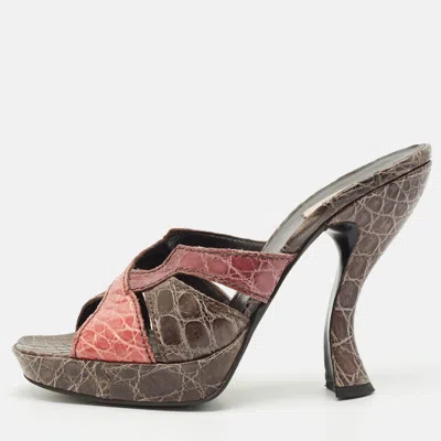 Pre-owned Prada Multicolor Crocodile Cut Out Slide Sandals Size 39