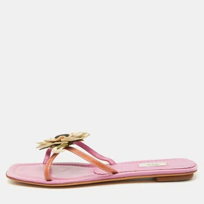 Pre-owned Prada Multicolor Leather Flower Appliqué Flat Slide Sandals Size 38.5