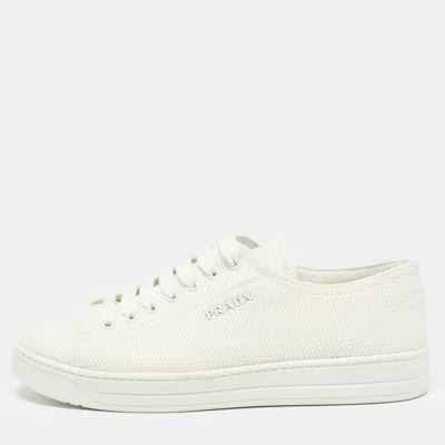 Pre-owned Prada Off White Canvas Low Top Sneakers Size 36.5