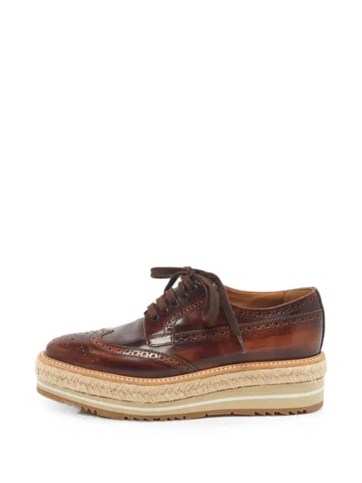 Pre-owned Prada Ombré Brogue Sneakers In Brown