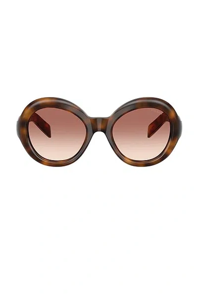 Prada 0pr D08su Large Round Tortoiseshell Sunglasses In Brown