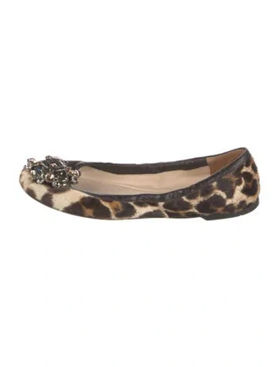Pre-owned Prada Ponyhair Animal Print Ballet Flats In Brown