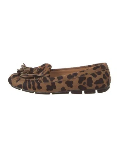 Pre-owned Prada Ponyhair Animal Print Loafers In Brown