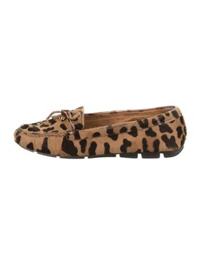 Pre-owned Prada Ponyhair Animal Print Loafers In Brown