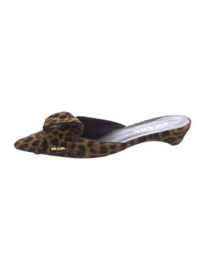 Pre-owned Prada Ponyhair Animal Print Mules In Brown