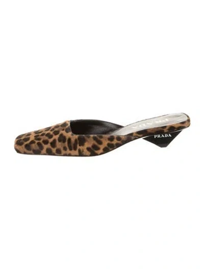Pre-owned Prada Ponyhair Animal Print Mules In Brown