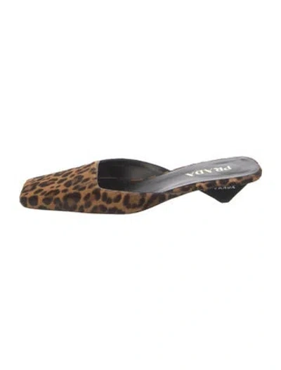 Pre-owned Prada Ponyhair Animal Print Mules In Multi