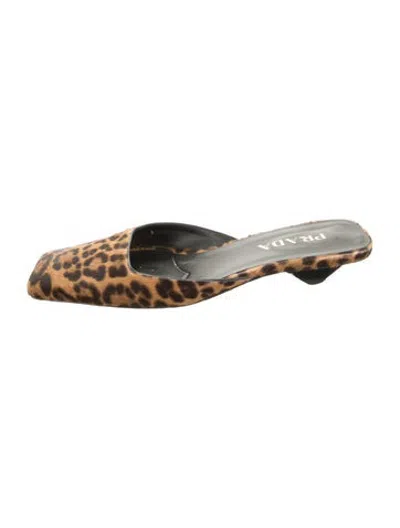 Pre-owned Prada Ponyhair Animal Print Mules In Silver