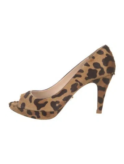 Pre-owned Prada Ponyhair Animal Print Pumps In Brown