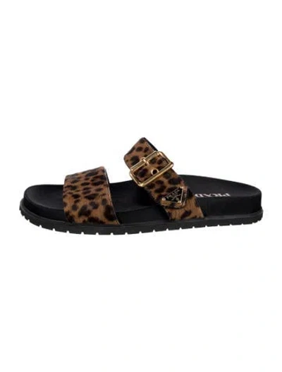 Pre-owned Prada Ponyhair Animal Print Slides In Black/neutrals