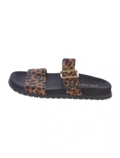Pre-owned Prada Ponyhair Animal Print Slides In Blue