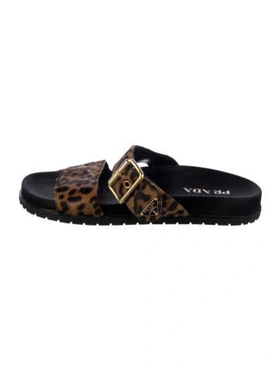 Pre-owned Prada Ponyhair Animal Print Slides In Multi
