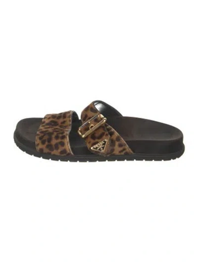 Pre-owned Prada Ponyhair Animal Print Slides In Neutral